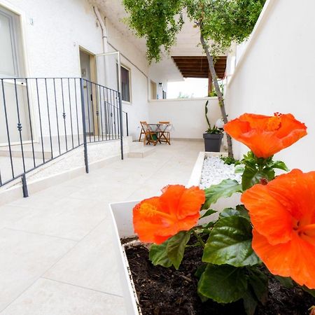 B&B Macchia Mediterranea San Pietro in Bevagna Eksteriør billede